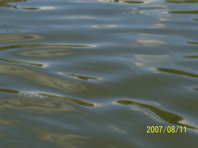 shawnee lake water.JPG